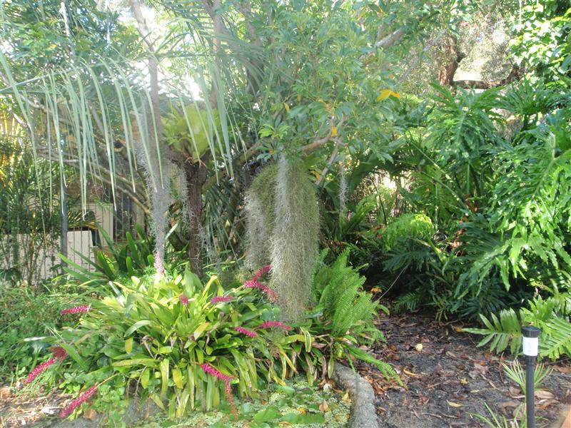 PB130073 (Custom).JPG