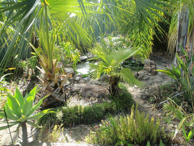 PB130075 (Custom).JPG