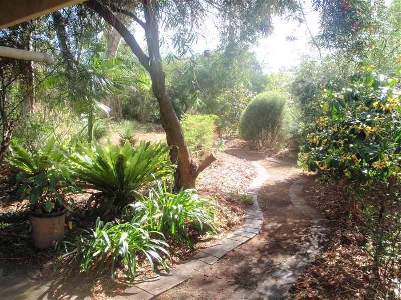 PB130076 (Custom).JPG