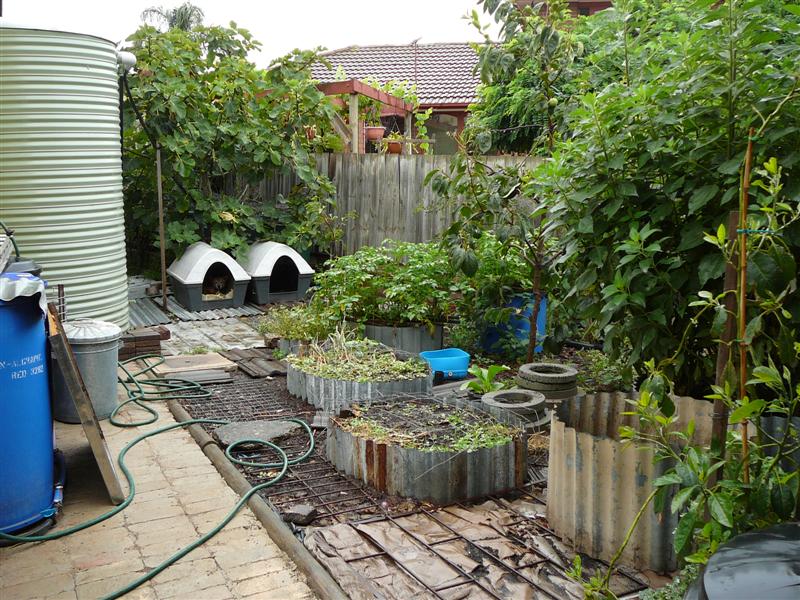 05-02-10 - BAP_BF 004 (Medium).jpg