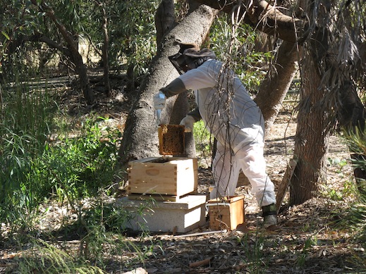 Transferring the frames.JPG