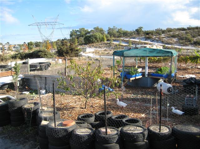 IMG_0880 (Small).JPG