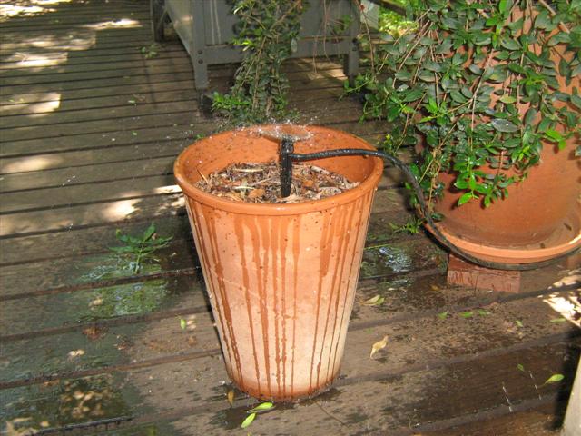 360 Deg Spectrum Jet 006 (Small).jpg