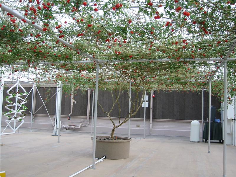 disneyworld_2006 (24).jpg