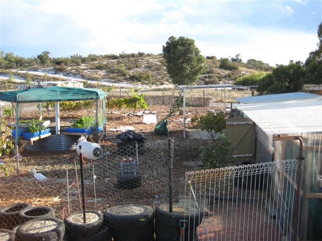 IMG_0882 (Small).JPG