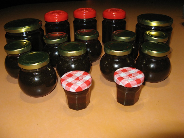Honey in jars.JPG