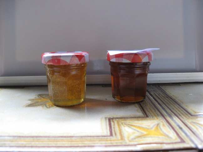 Two honey samples.JPG