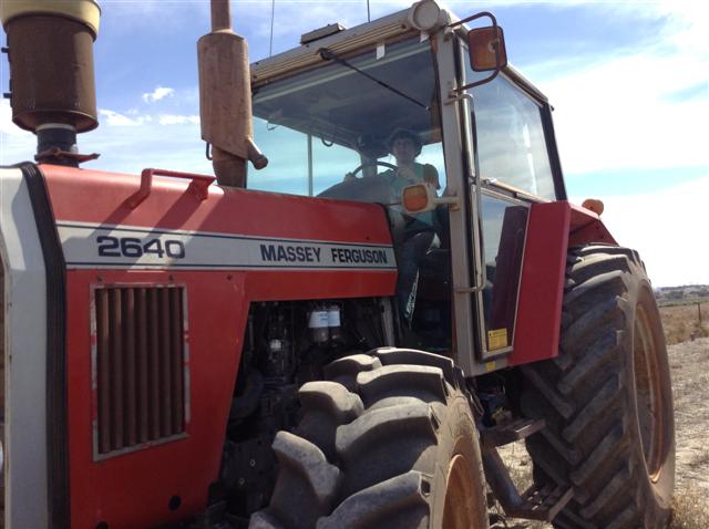 Lorraine Driving (Small).jpeg