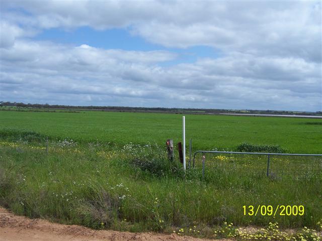 100_1107 (Small).JPG