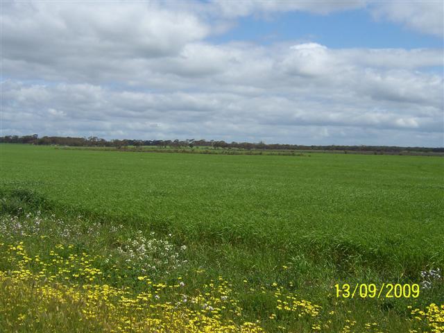 100_1109 (Small).JPG