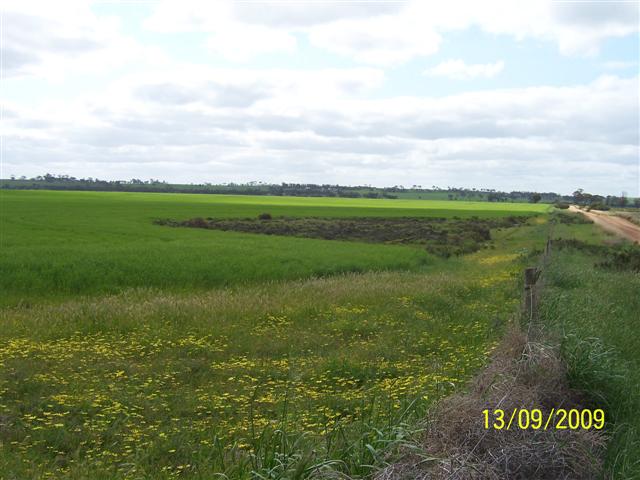 100_1115 (Small).JPG