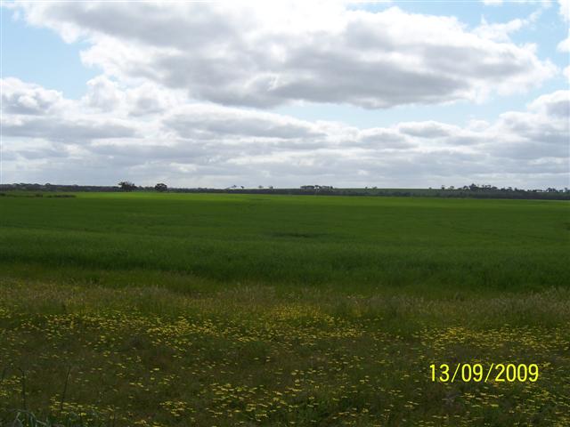 100_1116 (Small).JPG