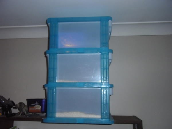 RIMG0012 (800x600) (600x450).jpg