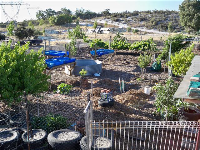 100_0533 (Small).JPG