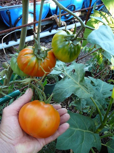 09-02-10 024 (Medium).jpg