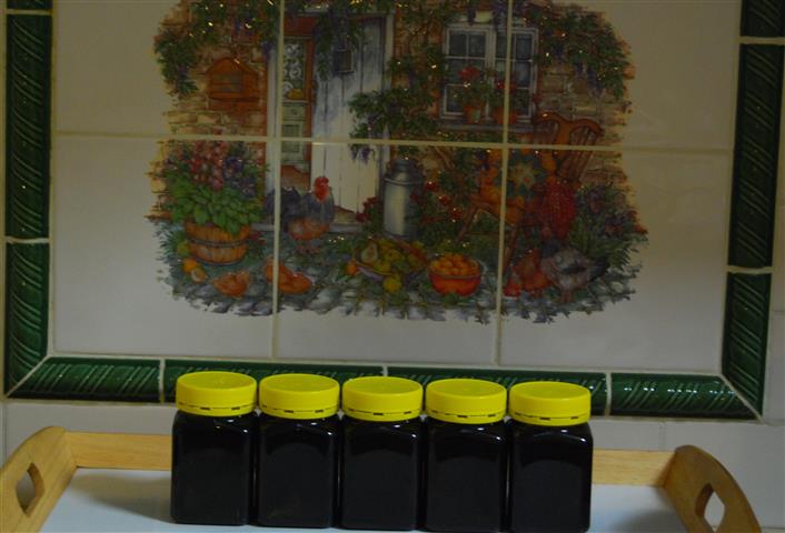 DSC_0409 c (Small).jpg