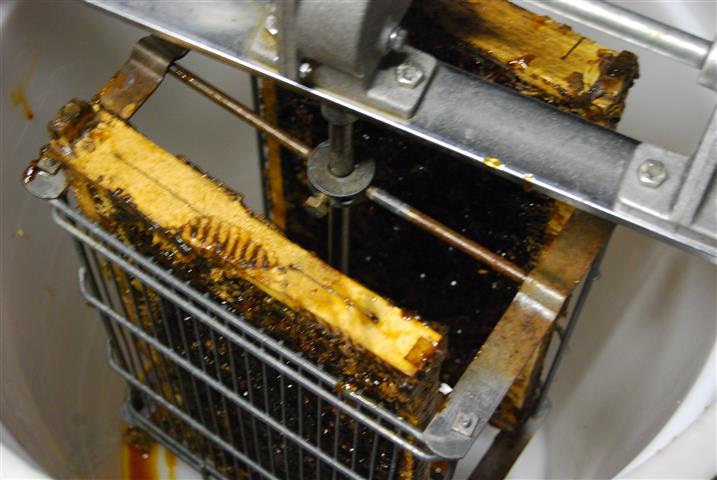 DSC_0376 (Small).JPG