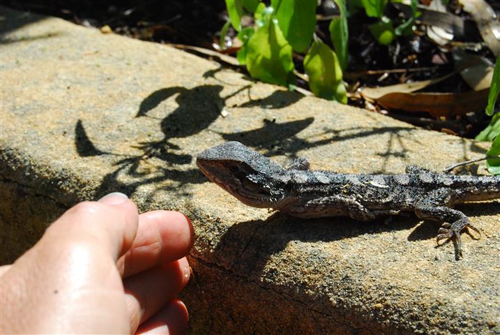 DSC_0436 (Small).JPG