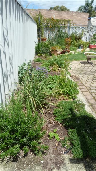 P1040094 (Medium).JPG