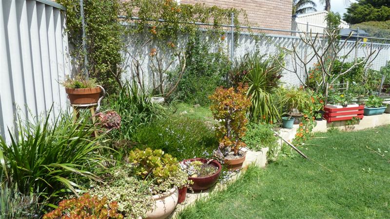 P1040096 (Medium).JPG