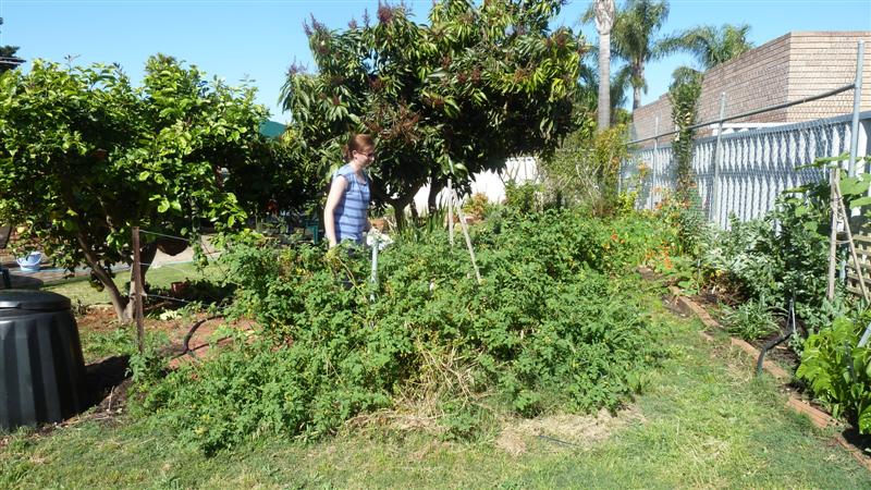 P1040114 (Medium).JPG