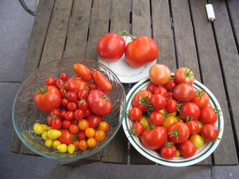 IMG_1003 (Medium).jpg