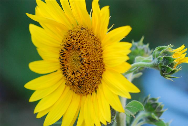 DSC_0045 (Small).JPG