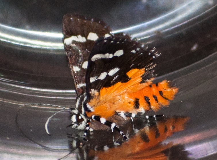 McCarthy Park f (1 of 1).jpg