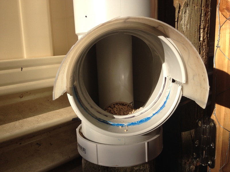 IMG_0772 Resized.jpg