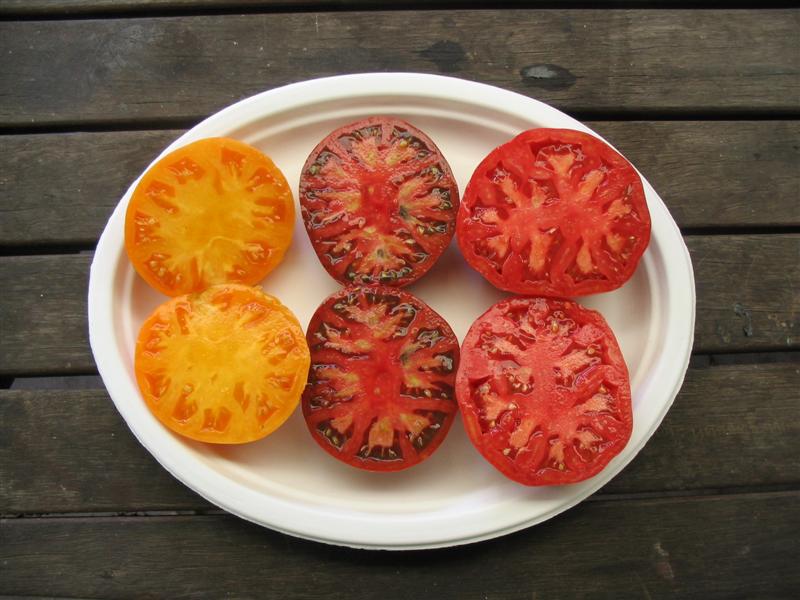 IMG_1143 (Medium).jpg