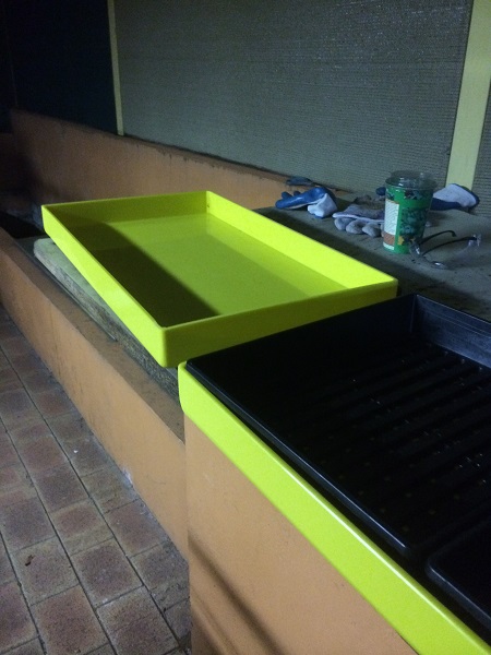 IMG_1051 Resized.jpg