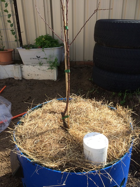 IMG_1127 resized.jpg