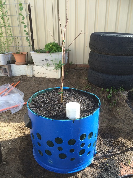 IMG_1125 resized.jpg