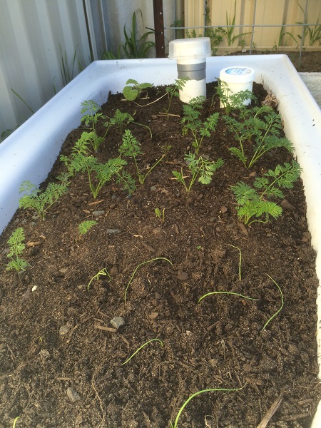 IMG_1128 resized.jpg