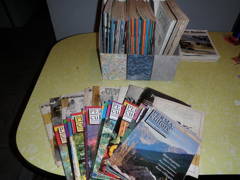 P1010027 (Custom).JPG