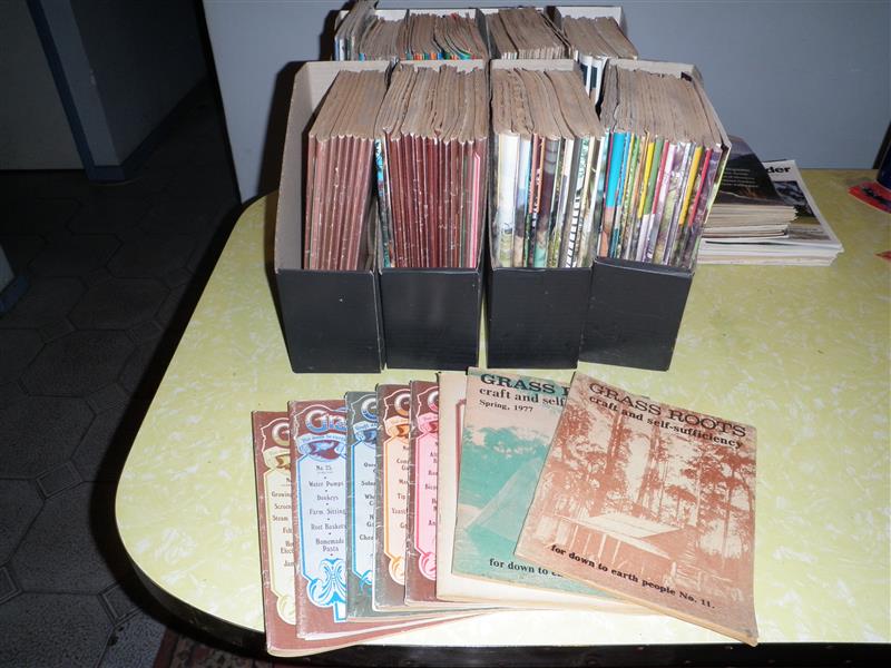 P1010028 (Custom).JPG