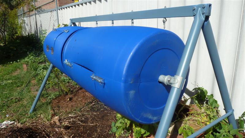 P1040550 (Medium).JPG