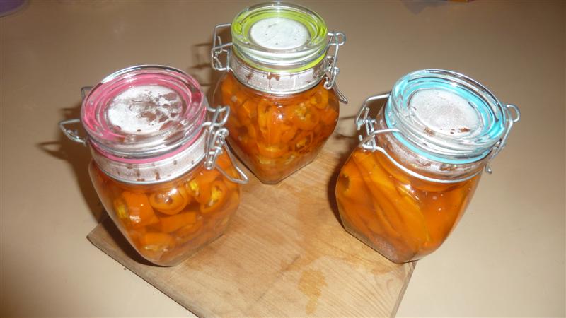 P1040545 (Medium).JPG