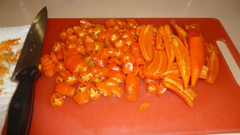 P1040544 (Medium).JPG