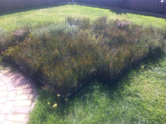 Picture 001 (Small).jpg