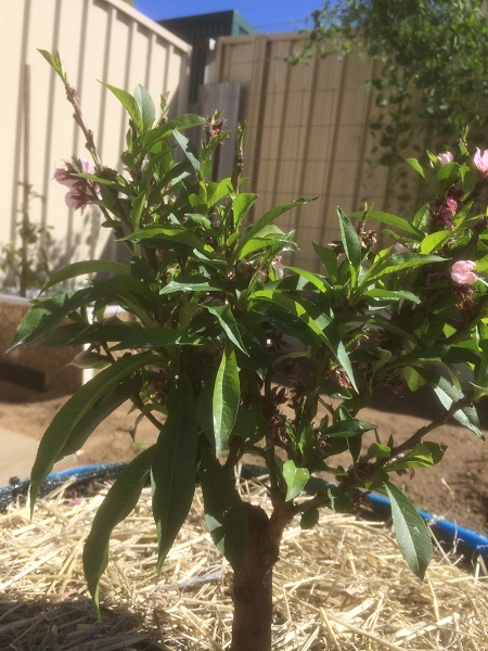 IMG_1247 resized.jpg