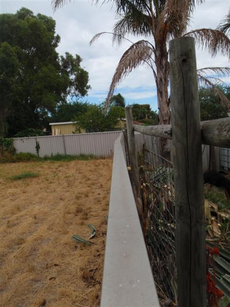 P2170412 (Medium).JPG