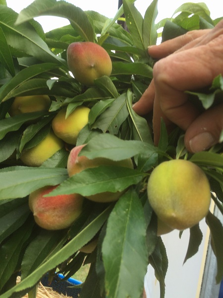 IMG_1592 resized.jpg