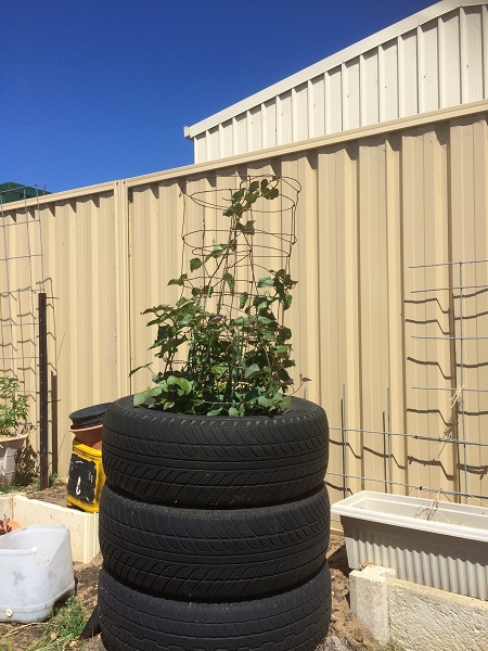 IMG_1555 resized.jpg