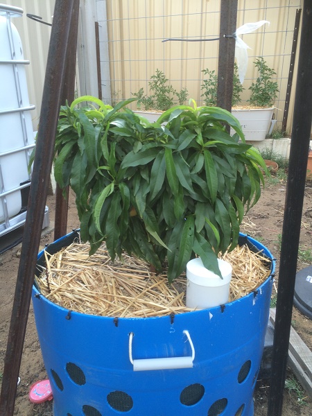 IMG_1594 resized.jpg