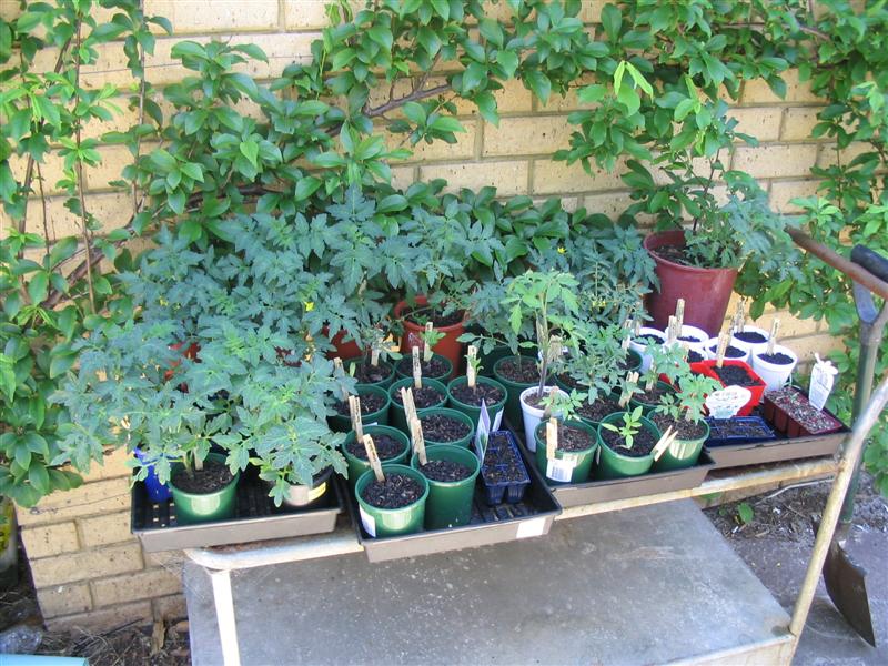 IMG_0821 (Medium).jpg