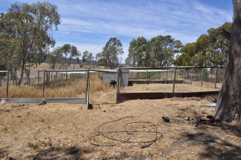 starting the clean up.jpg