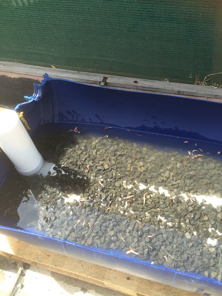 IMG_2097 resized.jpg