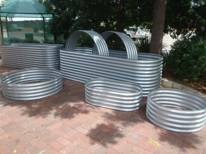 P2190410 (Medium).JPG