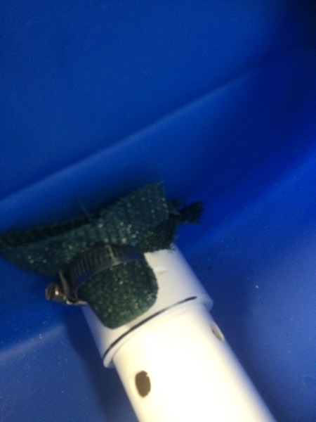 IMG_2087 resized.jpg